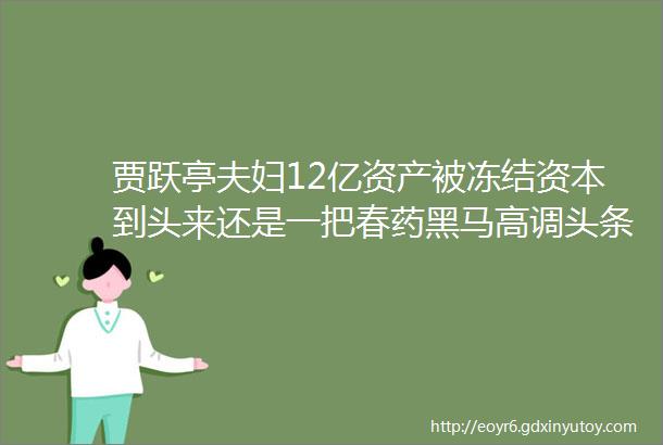 贾跃亭夫妇12亿资产被冻结资本到头来还是一把春药黑马高调头条